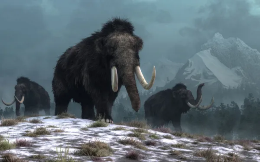 mamutes