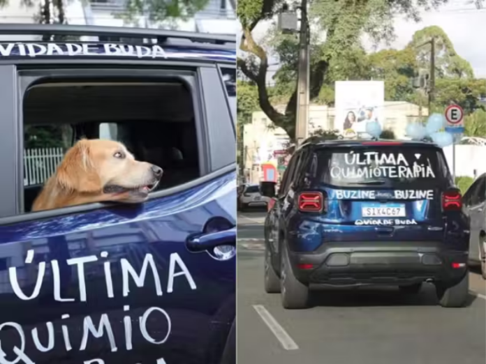 cãozinho