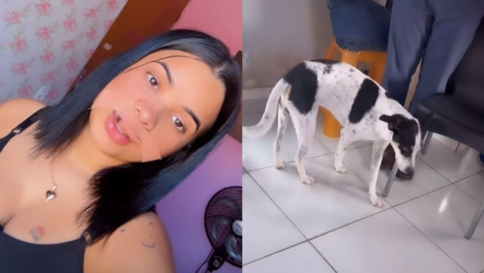 Perdeu parte do lábio