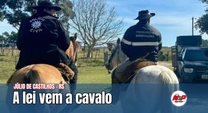 Operação conjunta recupera 67 bovinos roubados