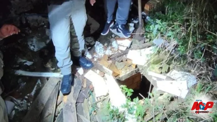 Estavam levando uma cabeça humana numa sacola