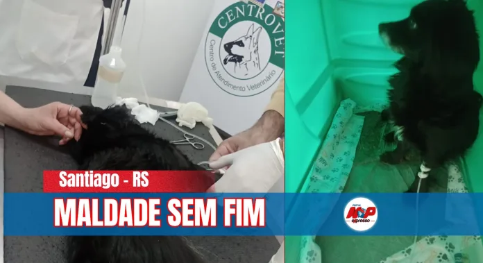 Editorial: a maldade que entra pelo portão
