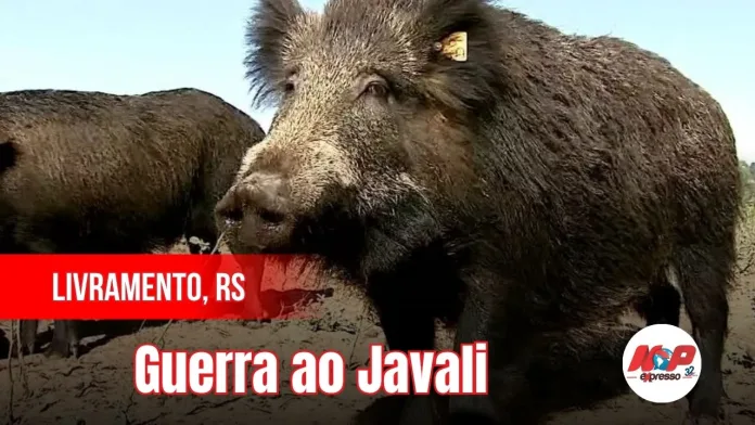 Cópia de chamadas (13)