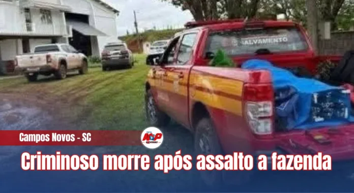 Cópia de chamadas 3 - 2025-10-28T185258.528