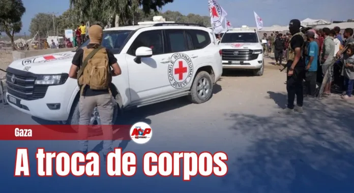 Cópia de chamadas 3 - 2025-10-31T115943.013