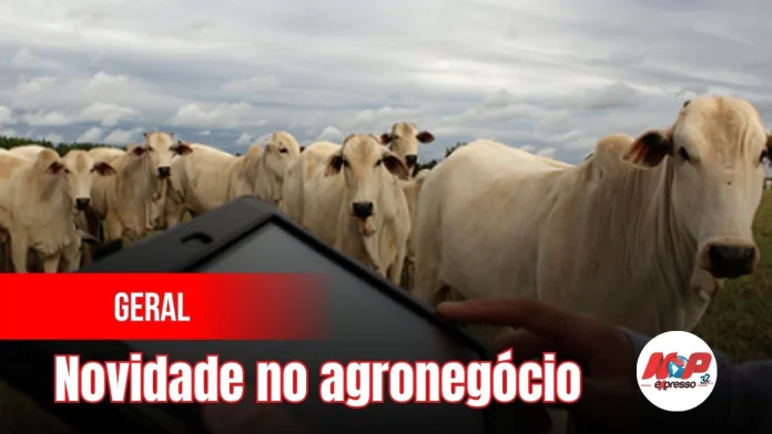 Cópia de chamadas (85)