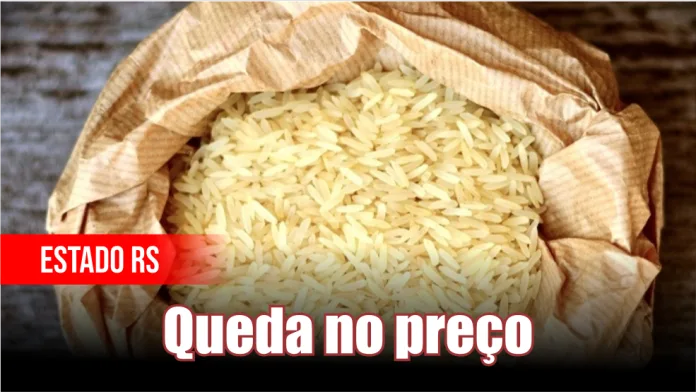 MODELO CAPA SITE