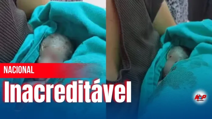 bebe-chora-no-velorio